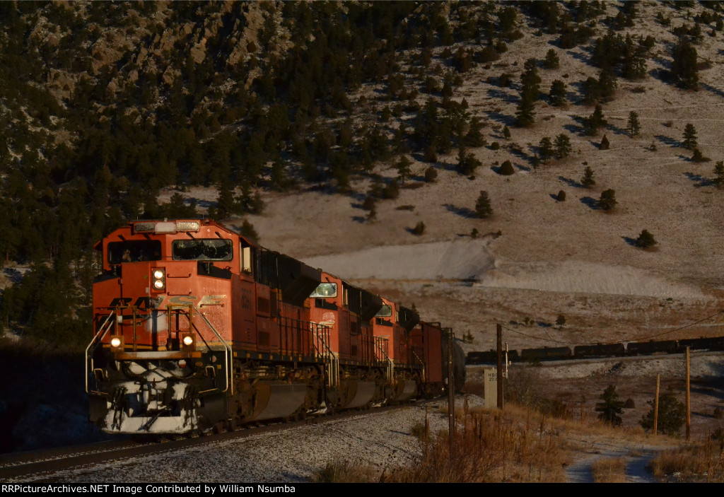 BNSF 8597 - Coal Creek Oil Cans